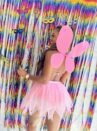 conjunto fantasia fada