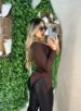 blusa manga longa adriana marrom