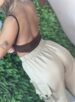 body cavado magda marrom