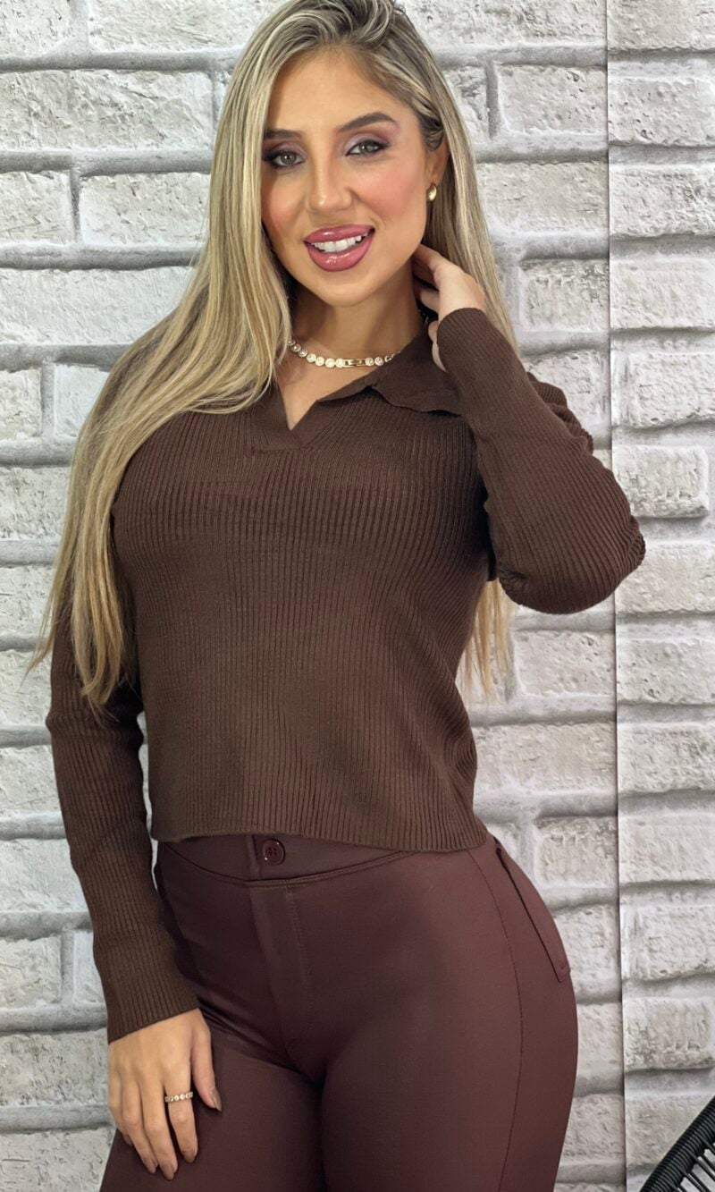 blusa modal gola polo marrom
