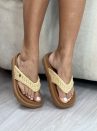 img 7146